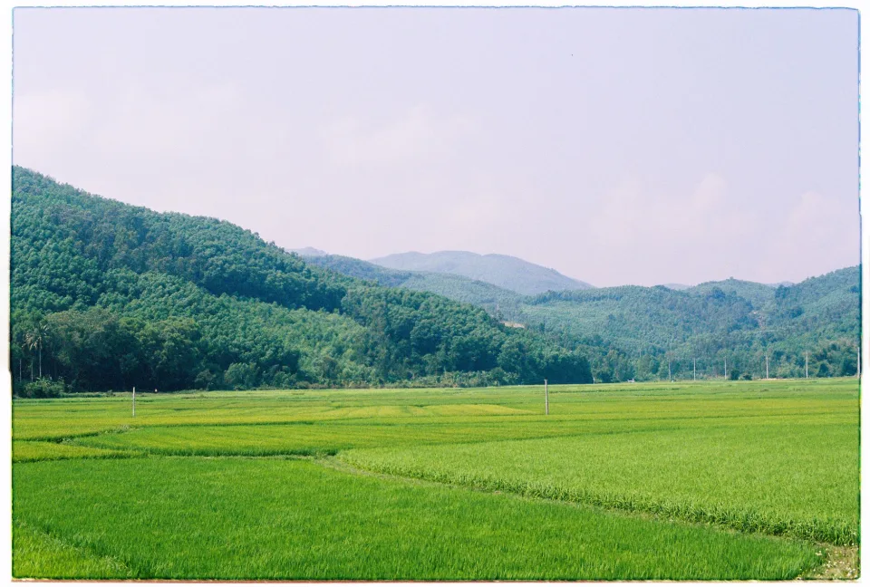 Kho gạo của Nguyễn Lương Điệp