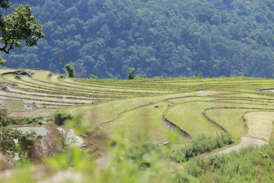 Kho gạo xếp bao